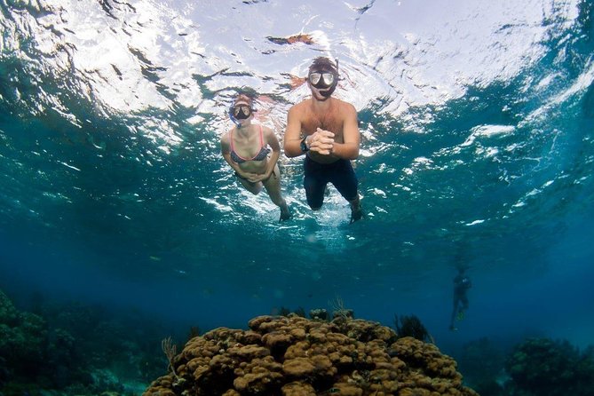 Grand Cayman Kittiwake and Reef Sail - What the small group size means