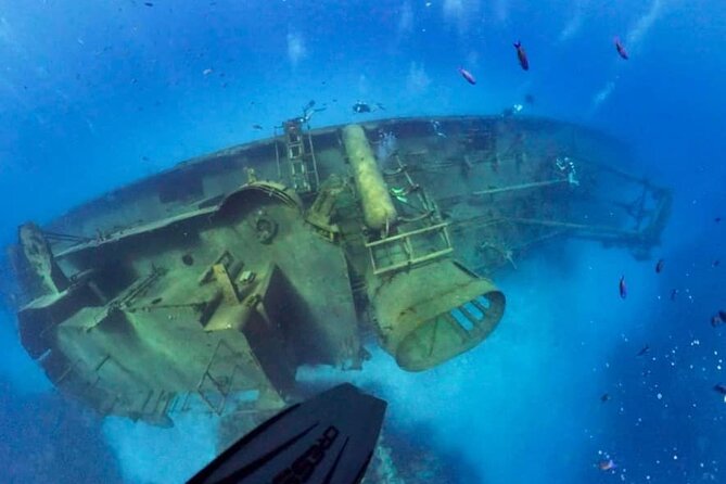 Grand Cayman Kittiwake and Reef Sail - Who will enjoy this outing most