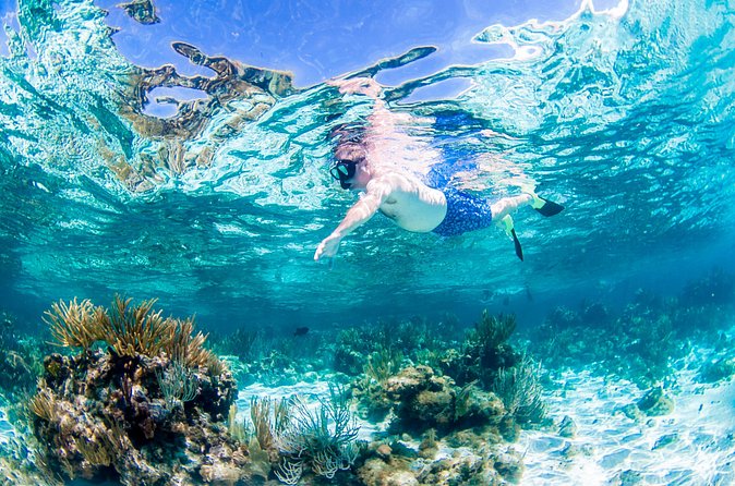 Grand Cayman Kittiwake and Reef Sail - Practical tips for a smoother afternoon