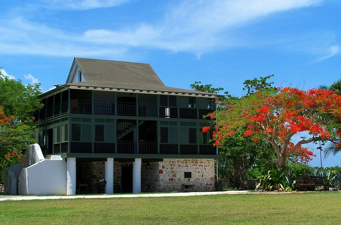 Grand Cayman Private Customized Bus Tour - Devil’s Grotto and the island’s unusual stone