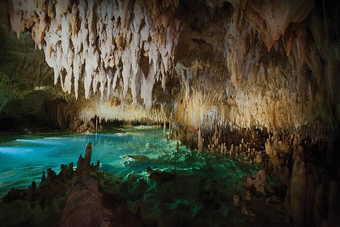 Grand Cayman Private Customized Bus Tour - What the air-conditioned bus changes
