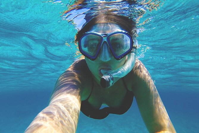 Grand Cayman Stingray City and Reef Snorkeling Combo Tour - What the $89 price really covers