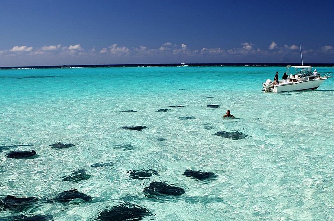 Grand Cayman Stingray City and Reef Snorkeling Combo Tour - Meeting points, transfers, and cruise timing