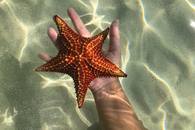 Half Day Private Boat Charter in Grand Cayman - Who should book this private boat?