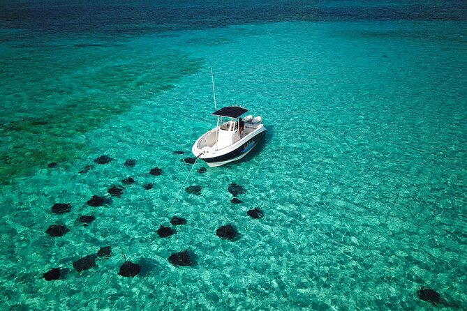 Half Day Private Boat Charter in Grand Cayman - Stingray Sandbar, the main event