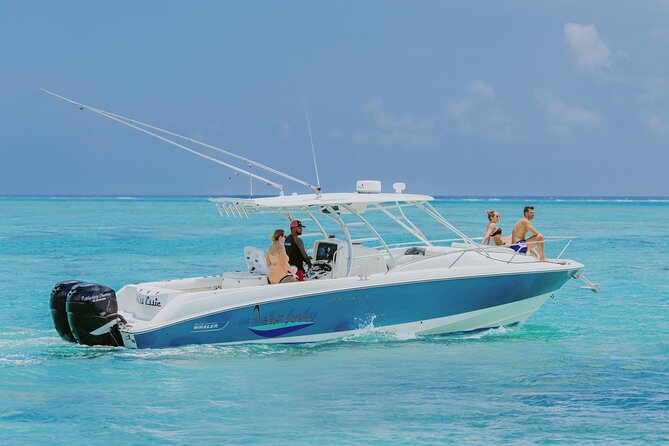 Half-Day Private Stingray City Charter - Grand Cayman - BTC - Key points to know before you book