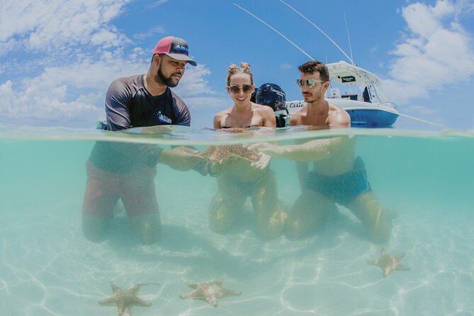 Half-Day Private Stingray City Charter - Grand Cayman - BTC - Starfish Point is the quiet finish