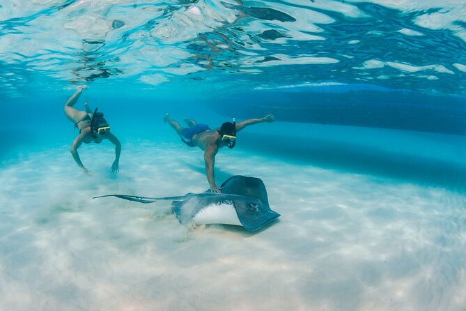Half-Day Private Stingray City Charter - Grand Cayman - BTC - What Captain Glenn and Shane add