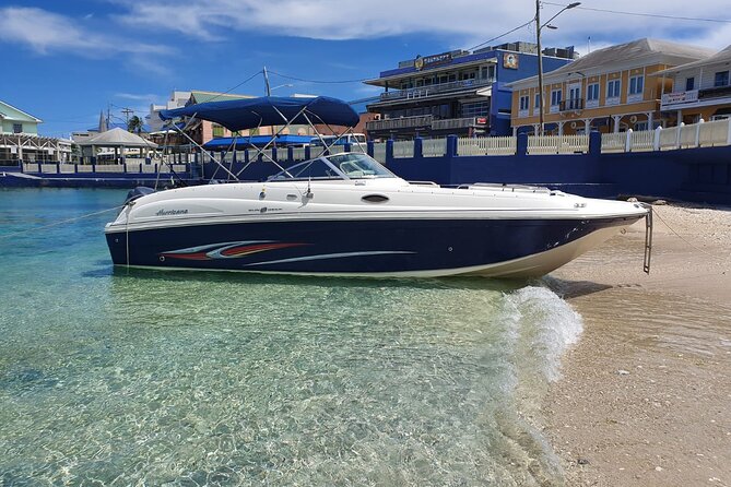 Half-Day Private Stingray City Charter in Cayman Islands - What makes this charter worth considering