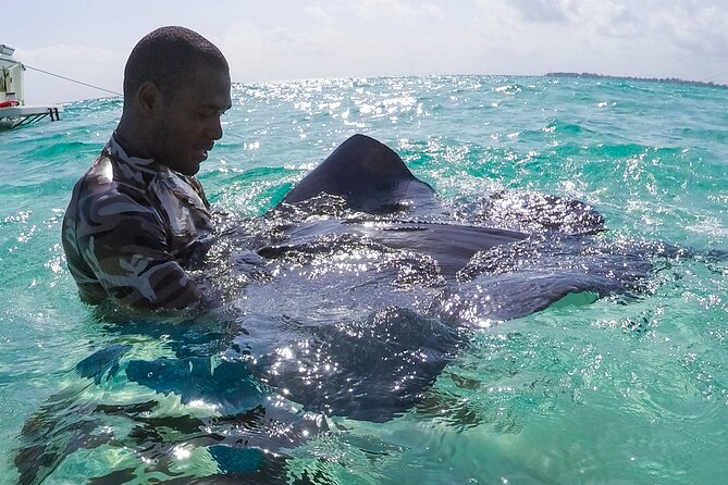 Half-Day Private Stingray City Charter in Cayman Islands - A private way to meet Grand Cayman’s stingrays