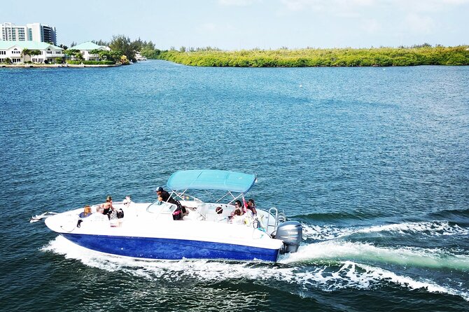 Half-Day Private Stingray City Charter in Cayman Islands - Boat comfort, supplies, and what to bring