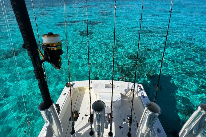 Luxury Private Fishing Charters - FULL DAY CHARTER - Weather, booking, and practical limits