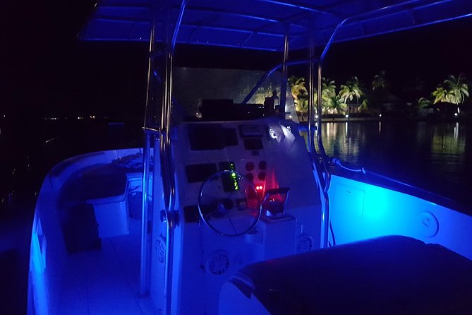 Night Bioluminescence Snorkel Tour - Leaving from Cayman Islands Yacht Club