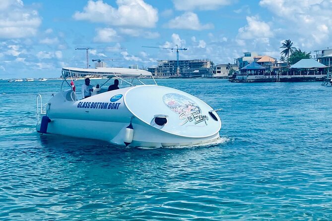 Oculus Glass Bottom Boat Tour - Quick points before you book