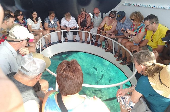 Oculus Glass Bottom Boat Tour - Guide commentary that gives the ride its personality