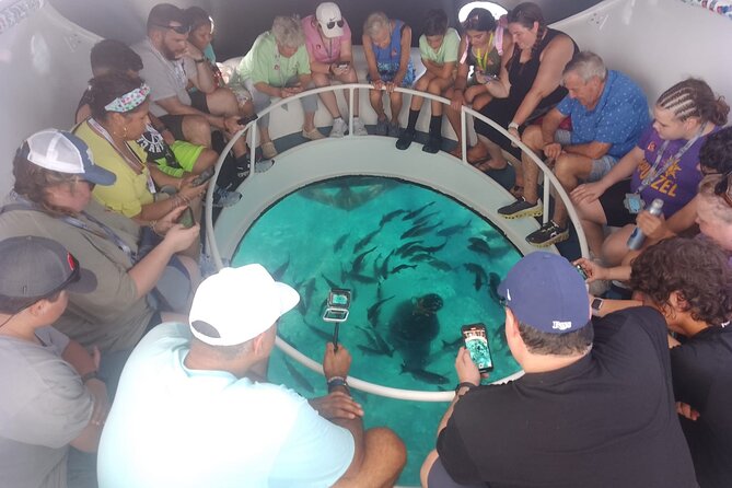 Oculus Glass Bottom Boat Tour - Timing, weather, and cancellation rules