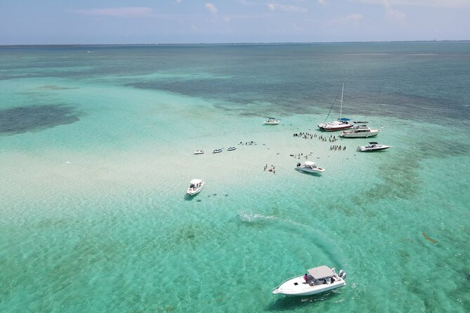Private 4 hour Catamaran Tour - Coral Gardens and the Reef Stops