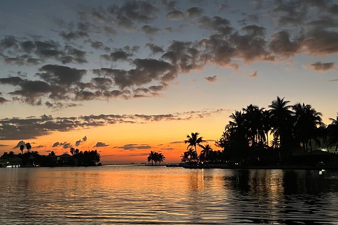 Private: Bioluminescence Tour - What this private Grand Cayman night trip is really about