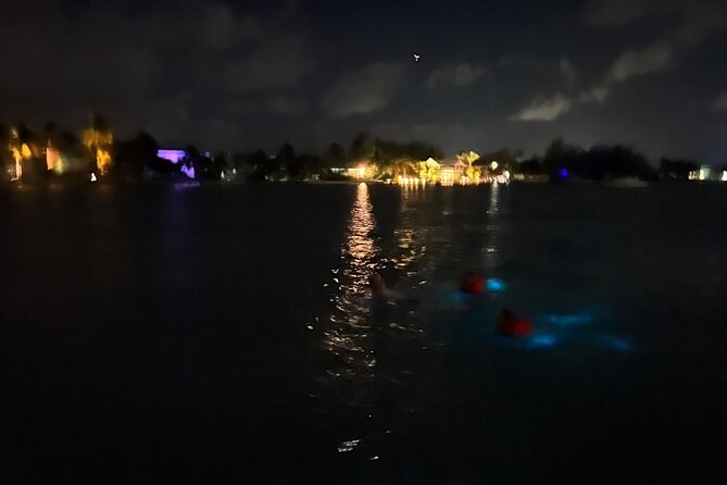 Private: Bioluminescence Tour - Entering the bioluminescent bay