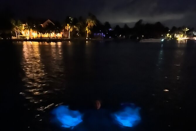 Private: Bioluminescence Tour - Choosing the best date and departure time