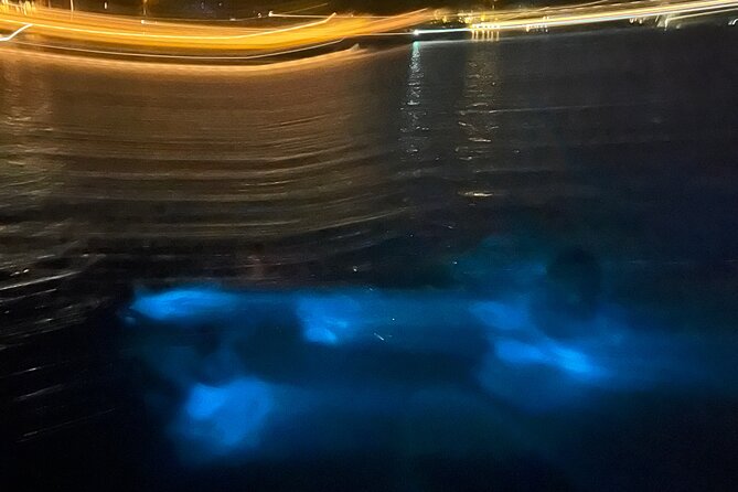 Private: Bioluminescence Tour - How the private format changes the experience