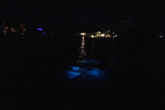 Private: Bioluminescence Tour - Is $599 good value for up to six people?