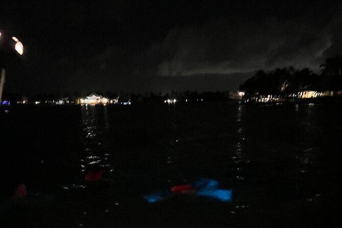 Private: Bioluminescence Tour - Who should book this experience