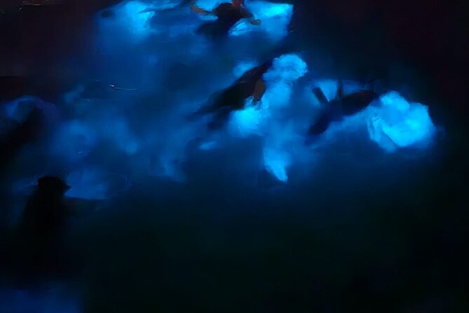 Private Bioluminescence Tour in Grand Cayman - What makes the guide important