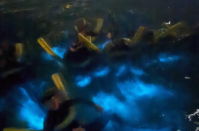 Private Bioluminescence Tour in Grand Cayman - Who should book this Grand Cayman night tour