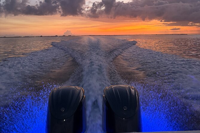 Private Bioluminescence Tour in Grand Cayman - What happens at the bioluminescent bay