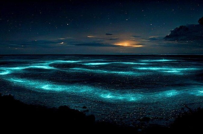 Private Bioluminescent Bay Tour - Floating in Bio Bay after dark