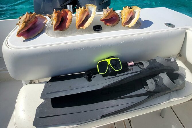 Private Boat Charter in Cayman Islands - Coral Gardens near Rum Point