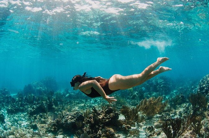 Private Boat Charter Snorkeling Stingray City or Bio Bay - Rum Point and the value of free time