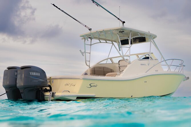 Private Boat Tours: Customize Your Grand Cayman Adventure! - Why Stingray City is the main event