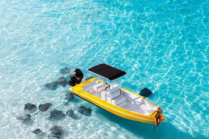 Private Boat Tours: Customize Your Grand Cayman Adventure! - Starfish Point: quiet, pretty, and brief
