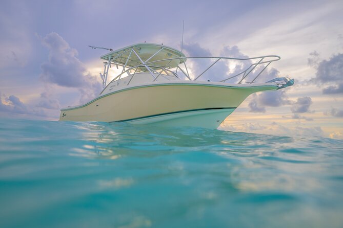 Private Boat Tours: Customize Your Grand Cayman Adventure! - What the private format is really worth