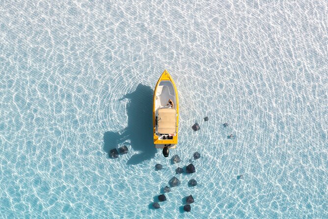Private Boat Tours: Customize Your Grand Cayman Adventure! - Choosing the right reef stop