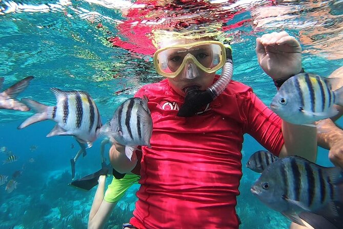Private Charter 28ft Grady White. Stingrays, Snorkeling, Starfish - The captains make a real difference