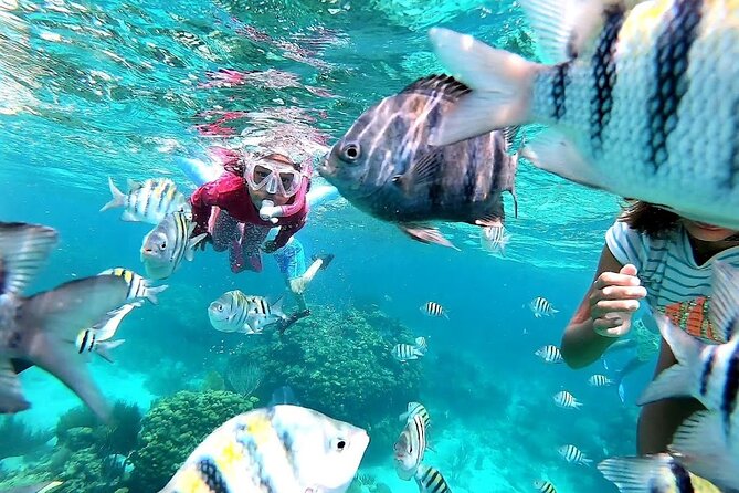 Private Charter 28ft Grady White. Stingrays, Snorkeling, Starfish - At Stingray City, the animals are the main event