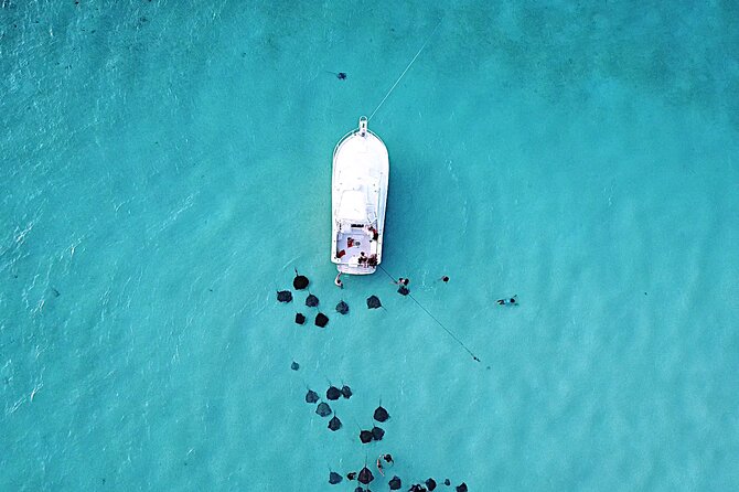 Private Charter 34ft Express Cruiser Stingay City Reef Snorkeling - Key points to know before booking