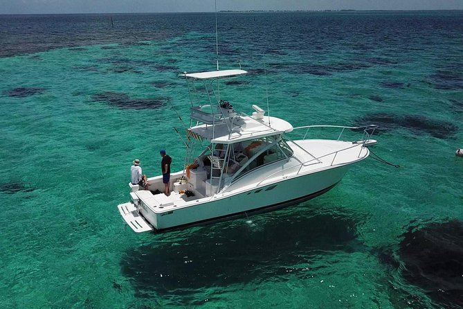 Private Charter 34ft Express Cruiser Stingay City Reef Snorkeling - Stingray City: the reason most people book