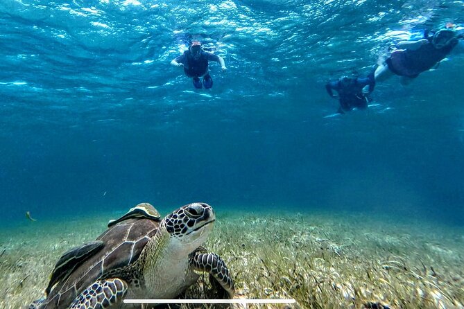 Private Charter 34ft Express Cruiser Stingay City Reef Snorkeling - Starfish Point is quieter and gentler