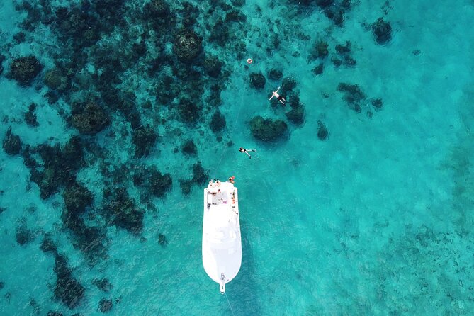 Private Charter 34ft Express Cruiser Stingay City Reef Snorkeling - Rum Point, lunch, and the longer charter options