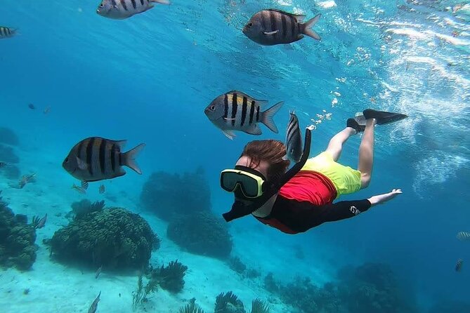 Private Charter 34ft Express Cruiser Stingay City Reef Snorkeling - Practical details that affect your decision