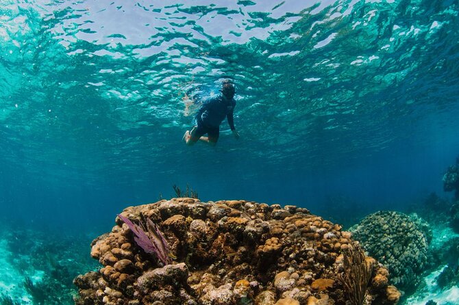 Private Charter Reef fishing, Stingray City, Snorkel, Mangroves - Why this private Grand Cayman charter works so well