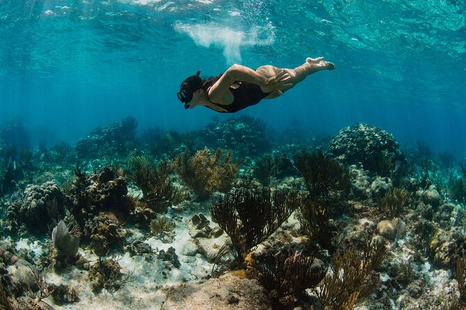 Private Charter Reef fishing, Stingray City, Snorkel, Mangroves - Starfish Point for a quieter change of pace