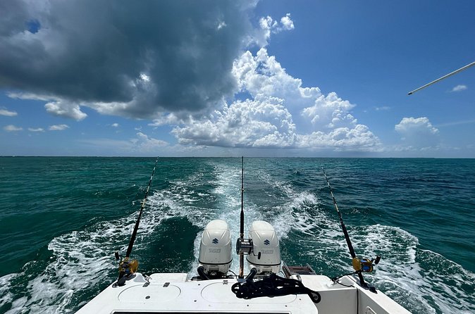 Private Charter Reef fishing, Stingray City, Snorkel, Mangroves - An hour at Rum Point