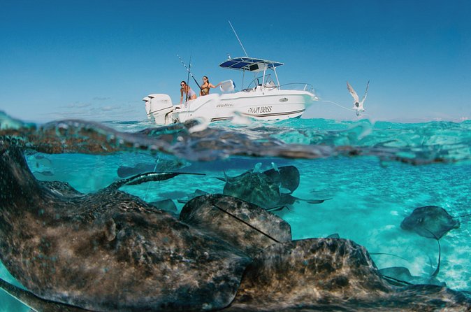Private Charter Reef fishing, Stingray City, Snorkel, Mangroves - The bioluminescent bay question