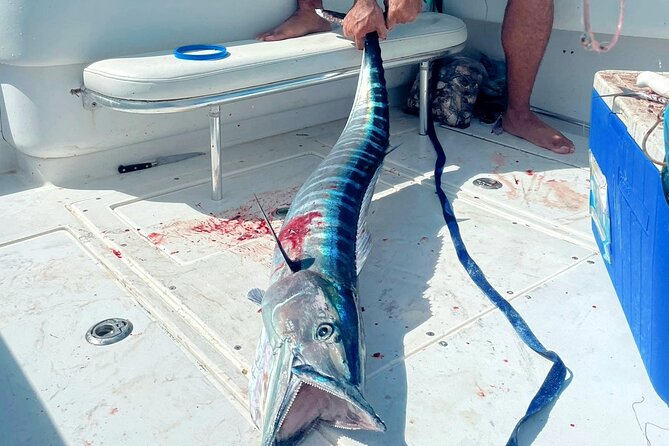 Private Deep Sea Fishing Experience in Grand Cayman - Fish you might target around Grand Cayman
