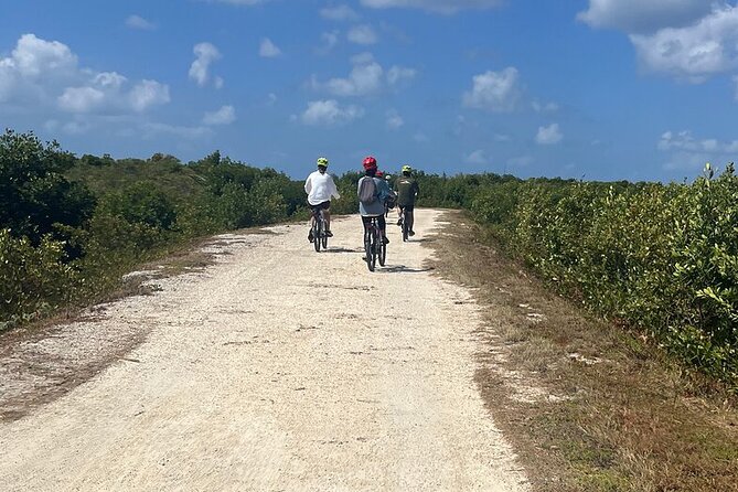 Private E-Bike Adventure in the Cayman Islands - Seven Mile Beach gives you the classic Cayman view